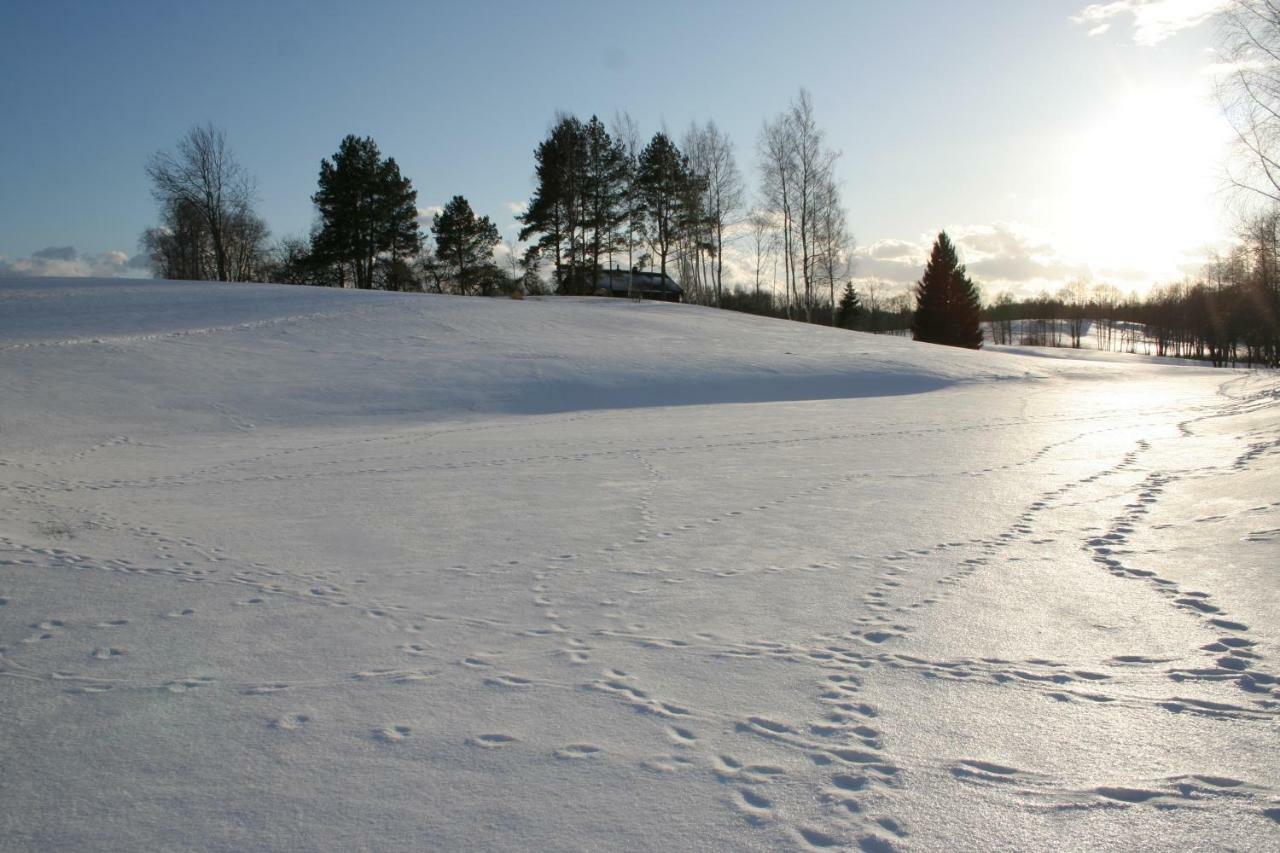 Mikalojiskis Inturke Luaran gambar