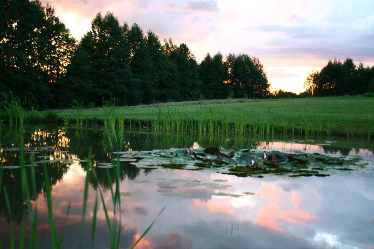 Mikalojiskis Inturke Luaran gambar